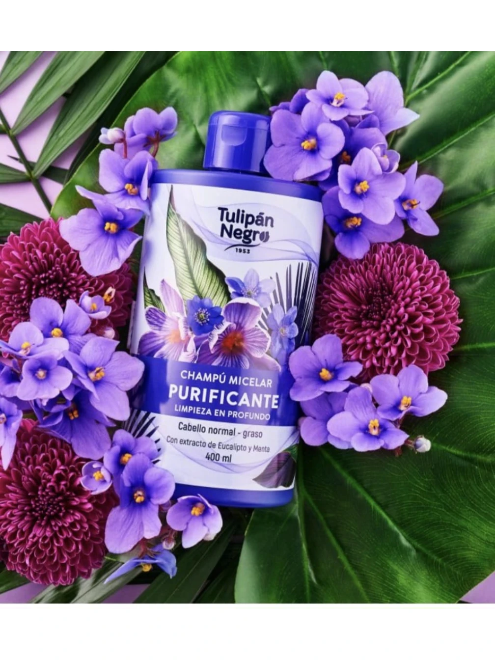 TULIPÁN NEGRO SAMPON MICELAR PURIFICANT 400 ML TULIPÁN NEGRO SAMPON MICELAR PURIFICANT 400 ML