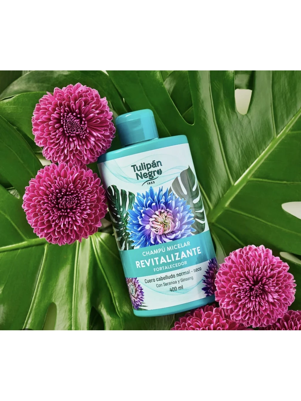 TULIPÁN NEGRO SAMPON MICELAR REVITALIZANT 400 ML
